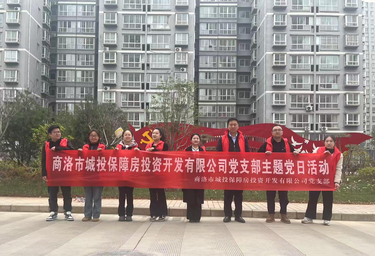 市城投保障房公司党支部开展&ldquo;传承雷锋精神，赓续时代荣光&rdquo;主题党日活动